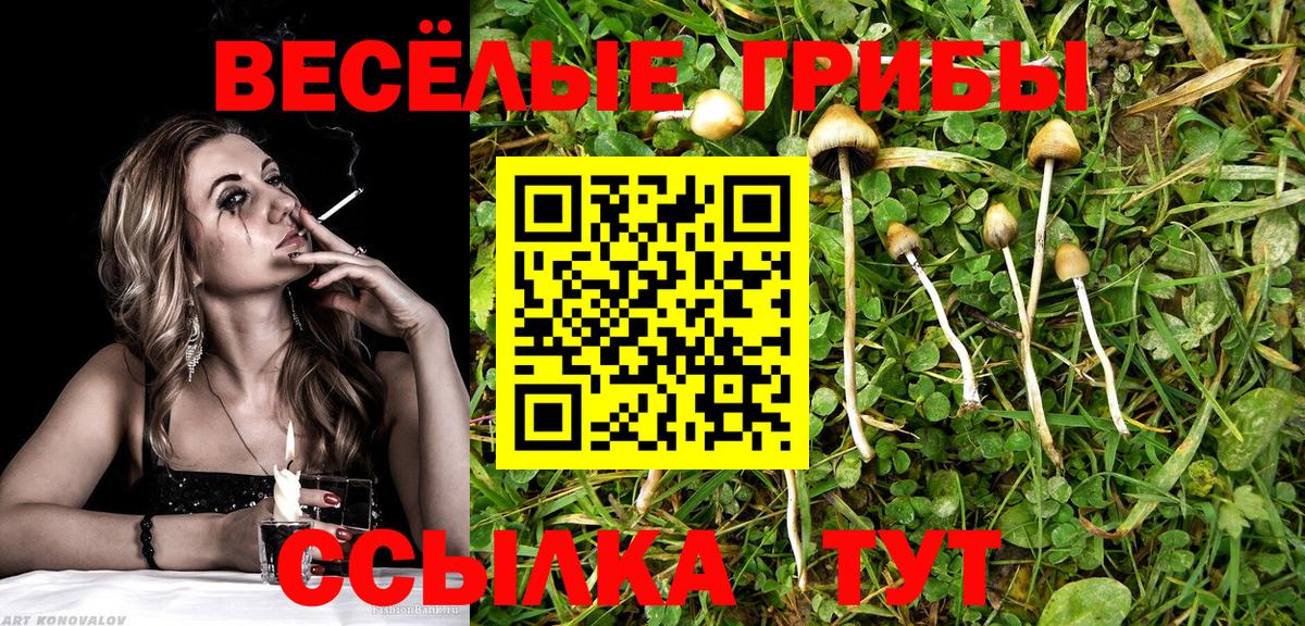 Нурлат  Галлюциногенные грибы Psilocybe  Галлюциногенные грибы Cubensis  Вход с VPN 